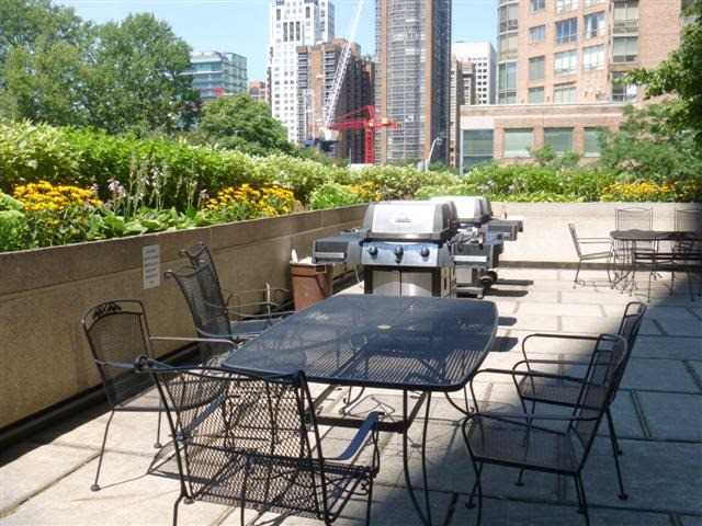 1001 Bay St BBQ Area