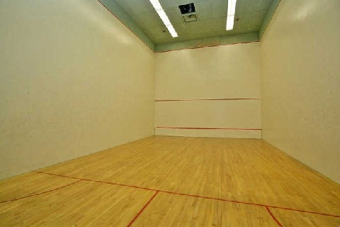 62 Wellesley st  Squash